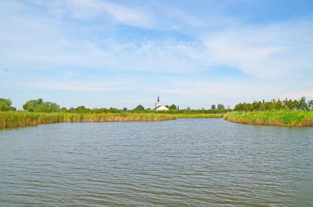 初秋,来泗洪洪泽湖湿地景区开启一场被"氧"之旅吧!