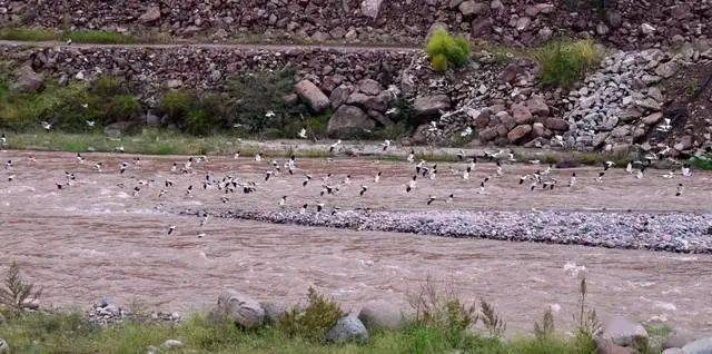 塔里木盆地在哪个省境内 c7bf92e8b78741bfa1dedd3f6c877466.jpeg