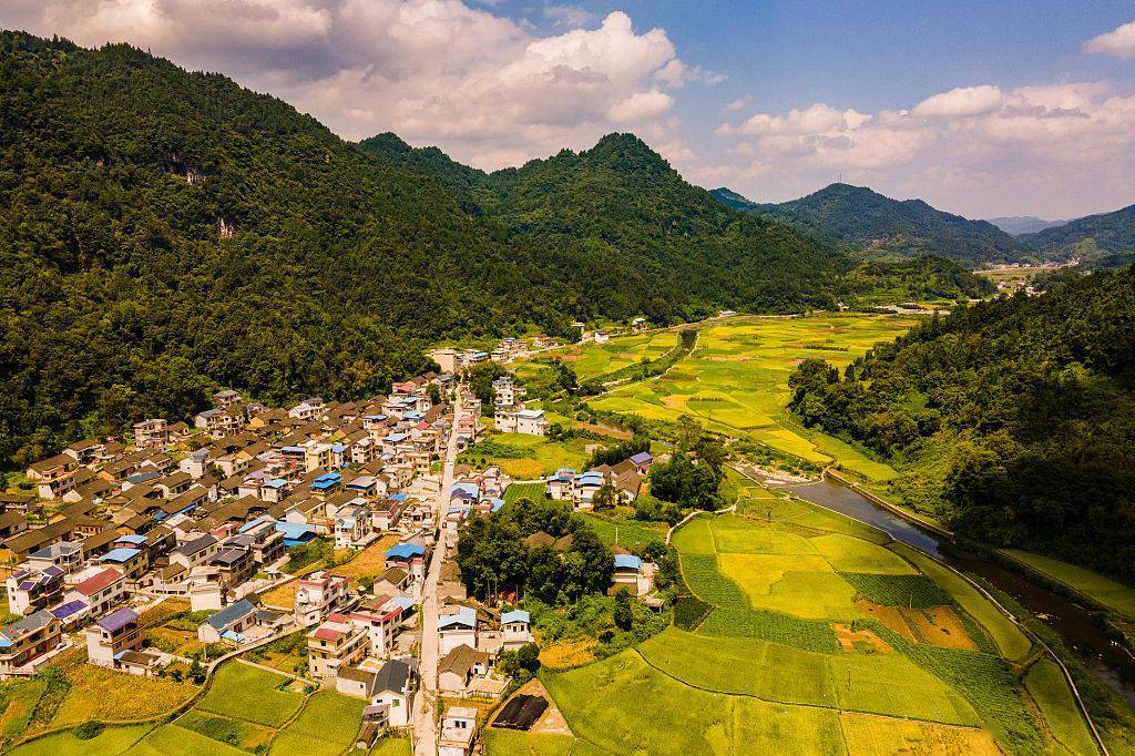 湖南湘西:航拍乡村风光 金色田园景色迷人