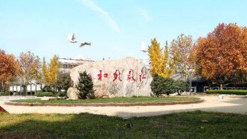 考取清华北大中排名_今年,阜阳三中4人考取清华北大!4人被中科大录取!