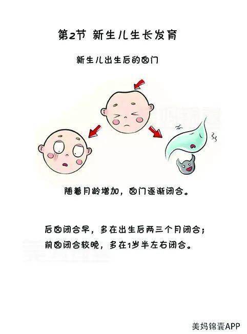 新生儿头围和前囟发育规律