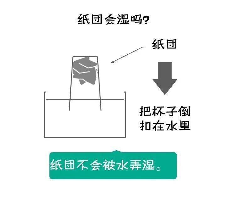 1cf7465af2224336a43b713833ae8b6d.jpeg