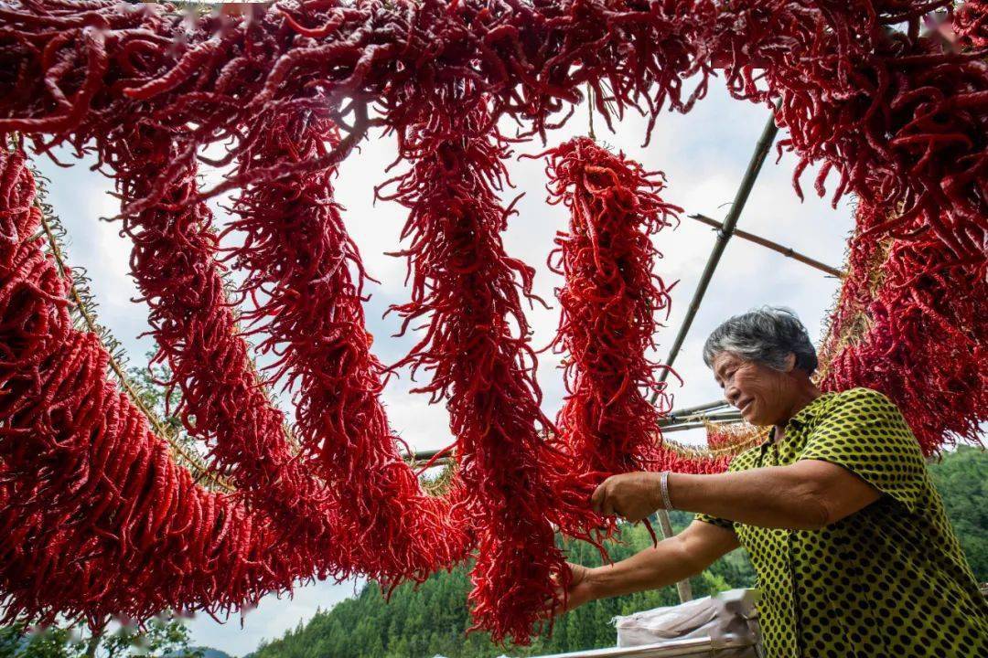毕节地区有多少人口_毕节地区地图全图