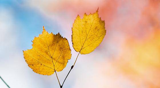 原梦园|年过五旬的爸妈竟成我的同学！原来，梦想啥时候圆都不晚