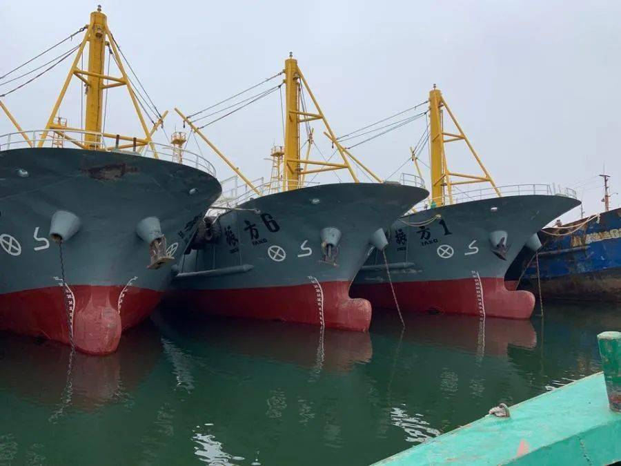 拍卖宁波海事法院关于远洋灯光围网渔船振方6拍卖公告