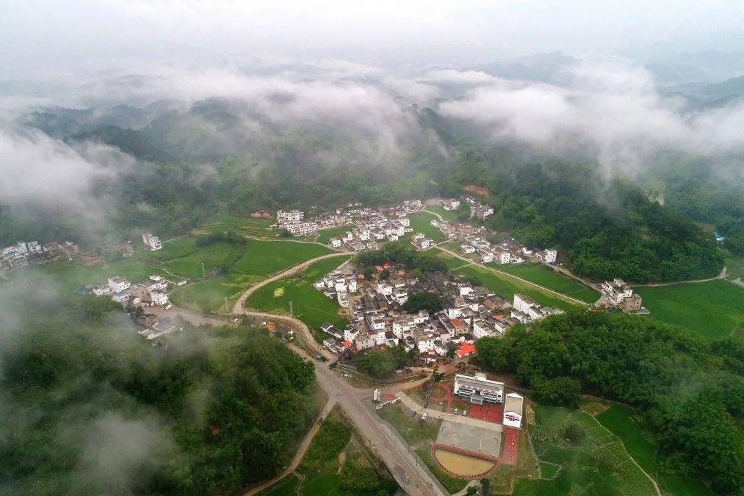 封开县台洞村