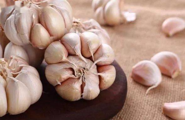 樱桃加冰糖煮水喝 278b0f22791340cda319911259853d7e.jpeg