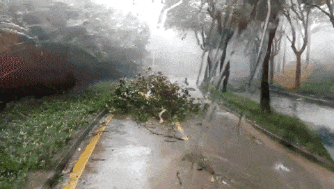 台风是什么样子的图片 66d818188d9f448d84c4e4a7cdde2b7f.gif