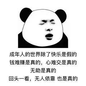 近期抖音最火熊猫表情