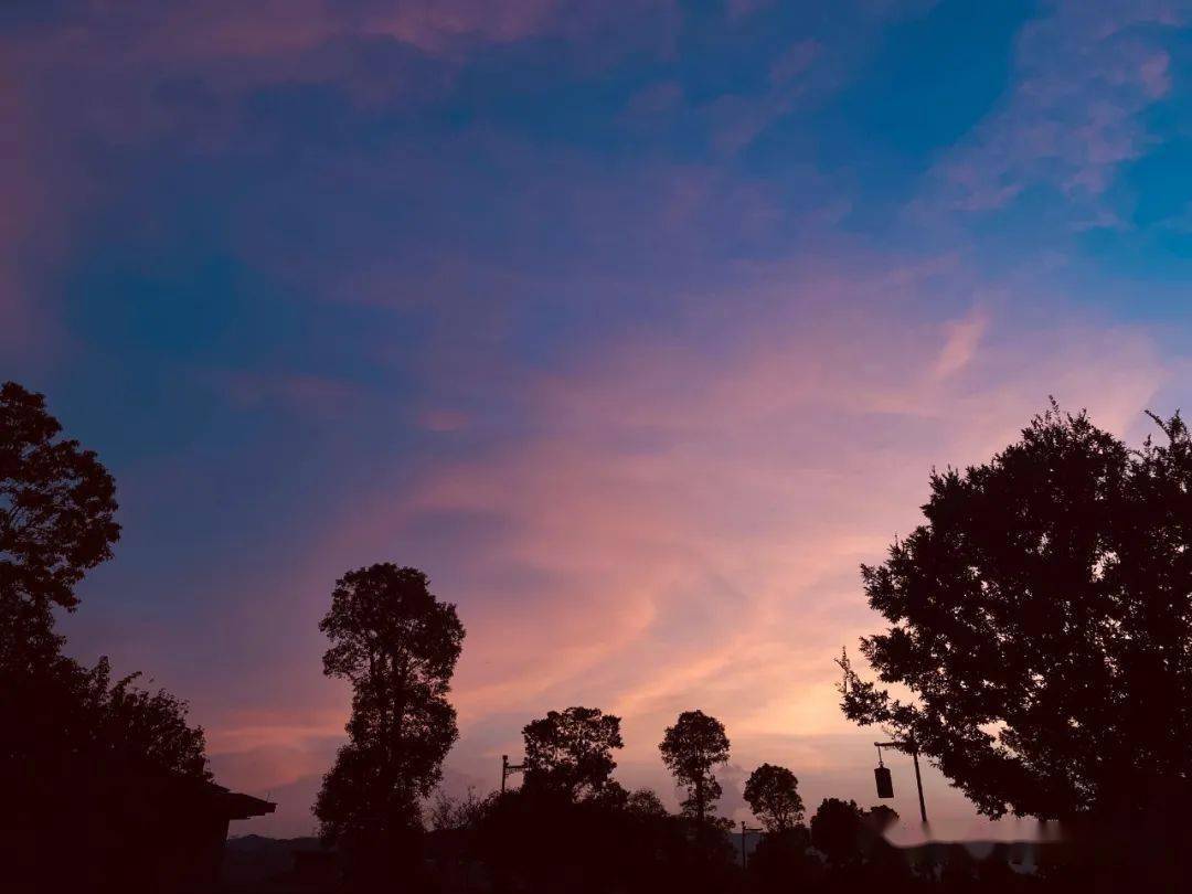 双肩包|四年了,我终于找到了好看耐用的完美双肩包!