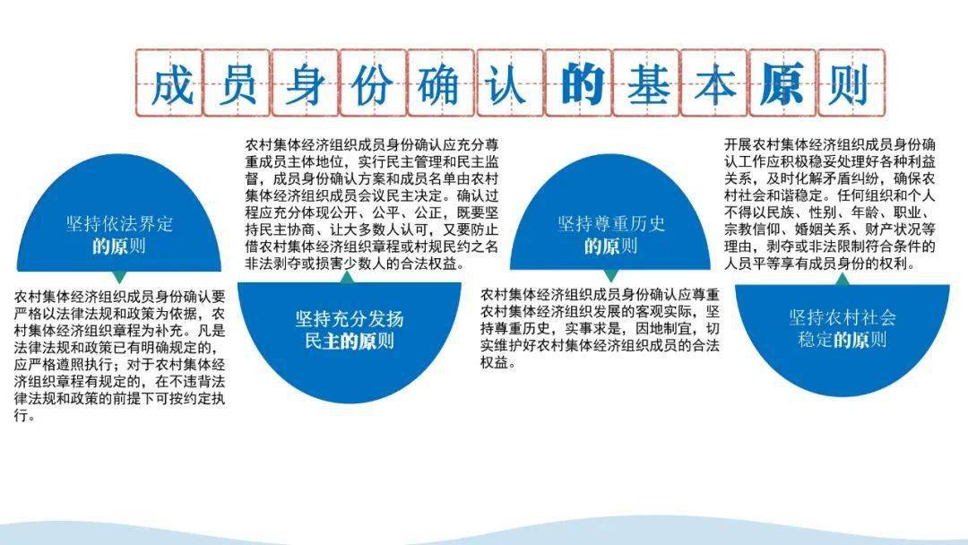 农村集体经济总量_农村集体经济彩绘墙(2)