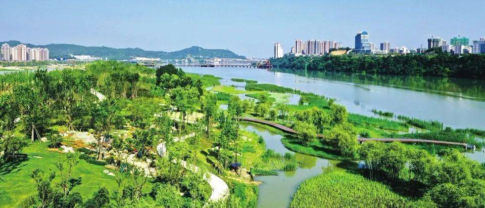 四川县域经济排名_解读2019年度四川县域经济发展强县、先进