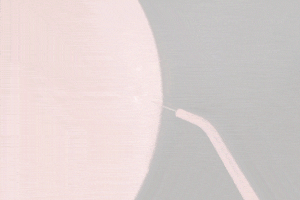 食物残渣|到底有多重要？你有一口好牙