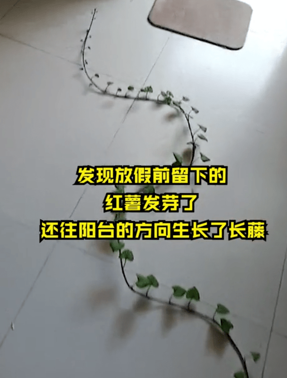 舍什么长成语_成语故事图片(3)