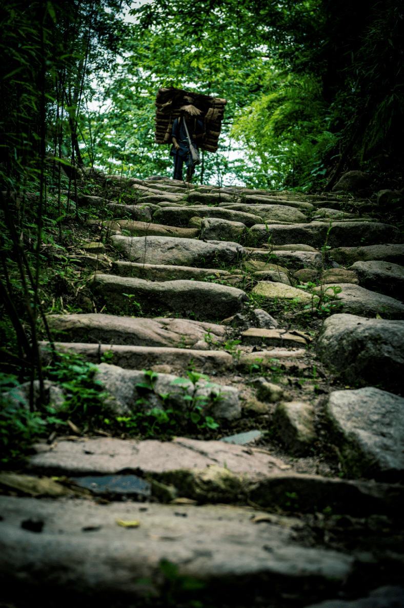 "云上之路 雅西高速 茶马古道特别定制团!三日行程报名中!