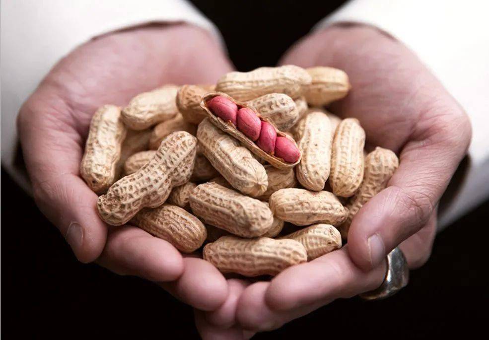 花生|让你口水决堤，灵魂颤抖吃一口就惦记很久的阿福熊鲜汁花生