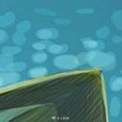 头部|心形头部的虾你见过吗？科学家发现5亿年前线纹心虾