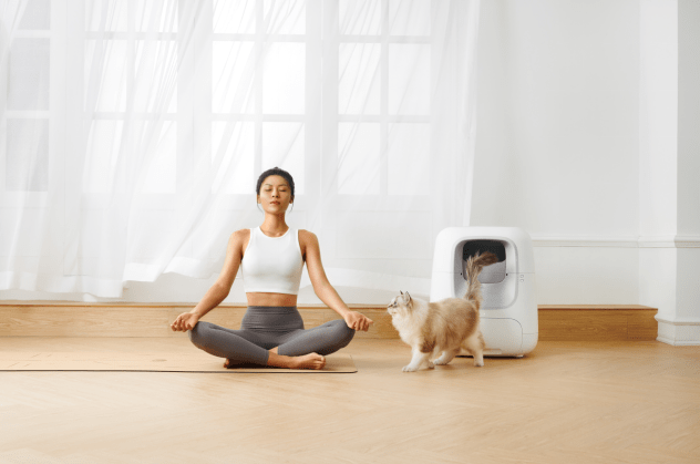 Catta|智能猫厕猫塔Catta获资本青睐出道即巅峰