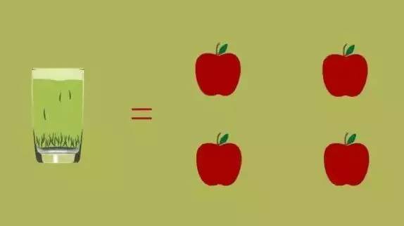 营养|一杯茶的营养到底有多高？