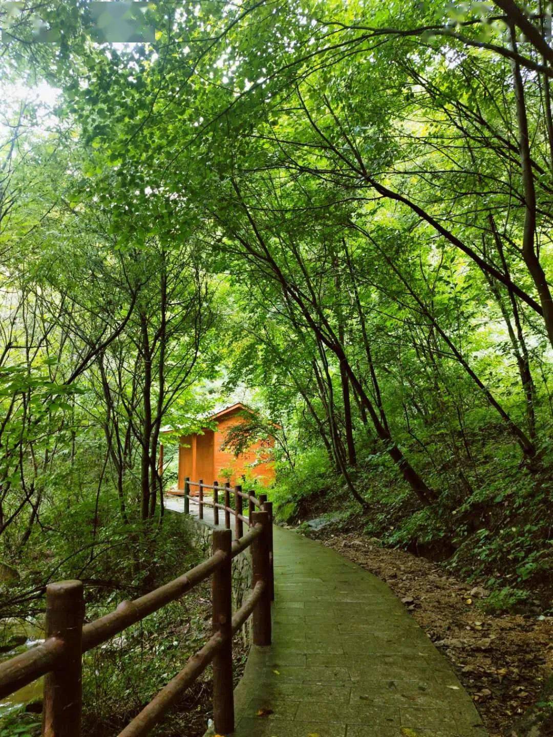 行走丨无烟雨,不初秋