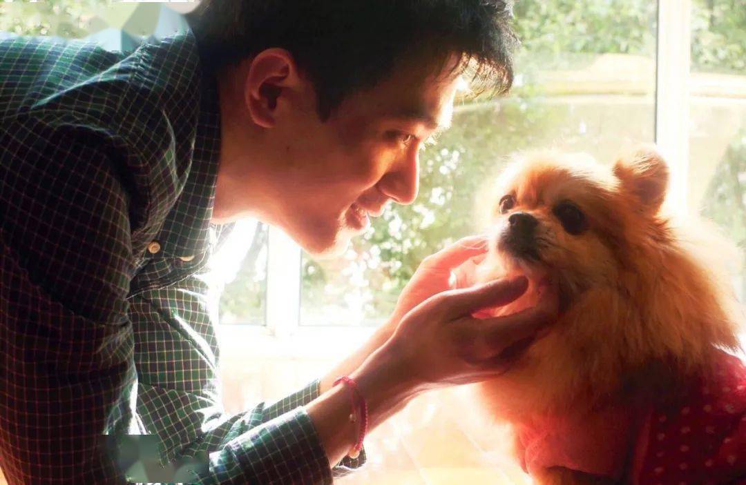 颜料|美哭帅呆～画的好看就罢了，长得还这么帅，引百万人点赞