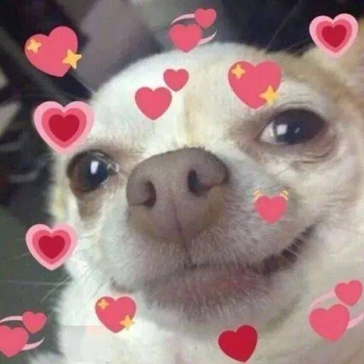 天赋|时尚新宠：“天赋河套”耳环