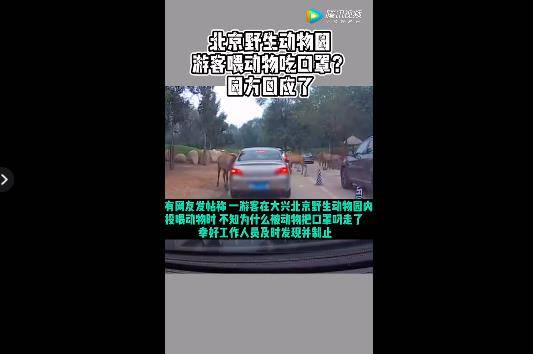 警方|游客在北京野生动物园给动物喂口罩？警方查清了！