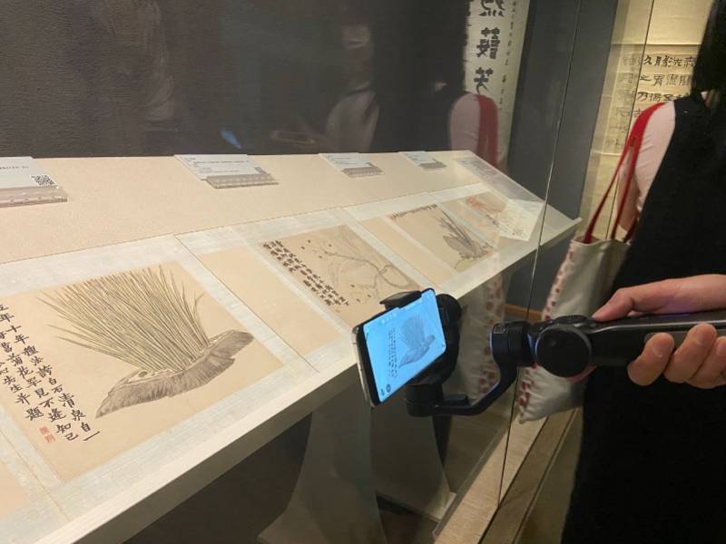 清代|“扬州八怪”究竟怎么怪？这个“领异标新”清代画展话你知！