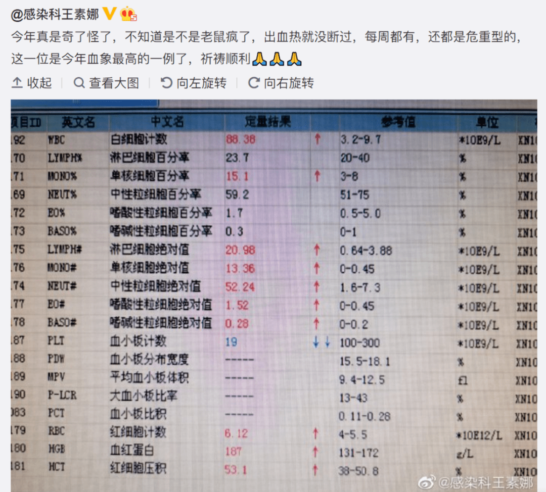 发病|2020年或成流行性出血热高发年，陕西是重灾区