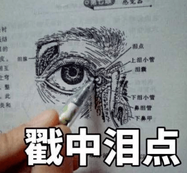 ceaf9202d7a742f5b00644b66c36bc1a.png