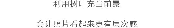 照片|颜值不够的女生，怎么拍出朋友圈点赞超高的照片？