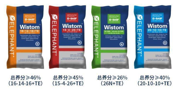 巴斯夫&川金象"维施特,并重作物营养与土壤健康"姜"丰收进行到底!