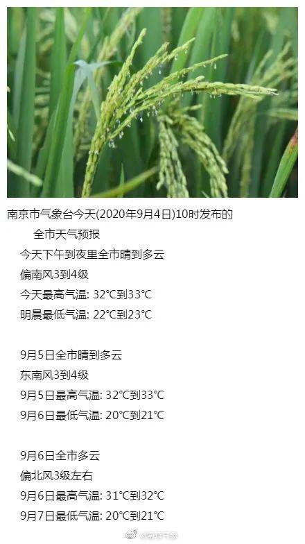 b239bda4b67d4548b5ea9b17d42a5f40.jpeg