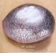 和泰|最后被发现的天然元素