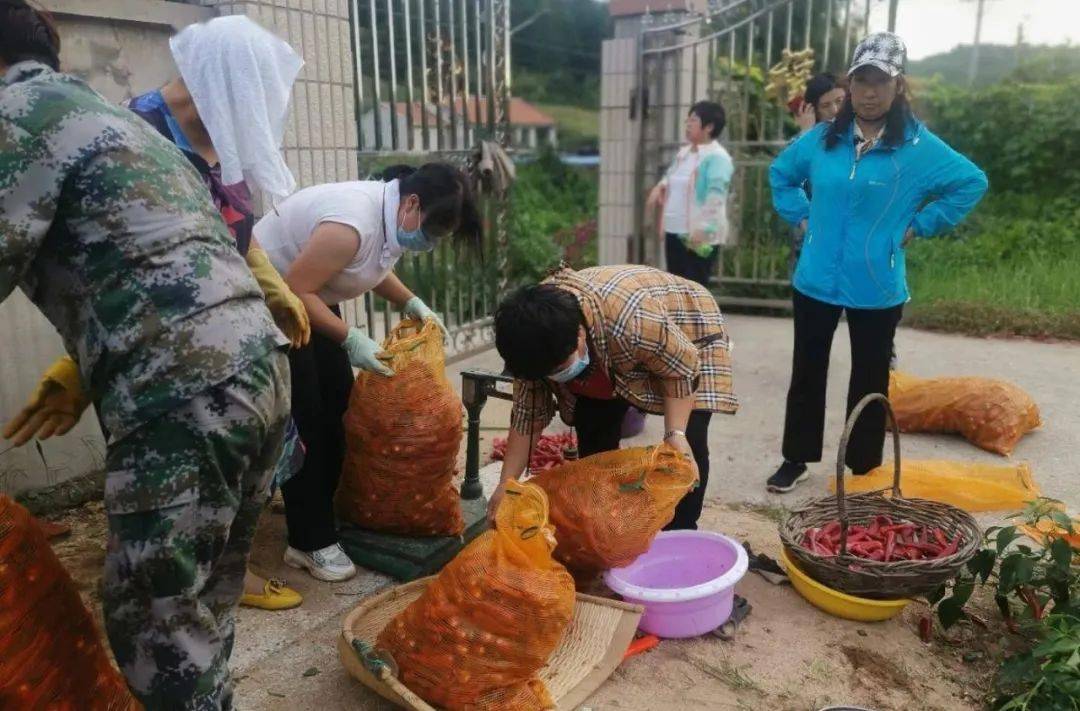 汤河镇妇联义务为民解难题_周淑芝