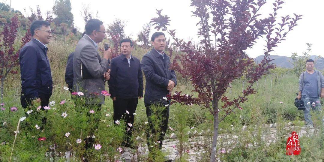 驼峰镇人口_驼峰桥标志