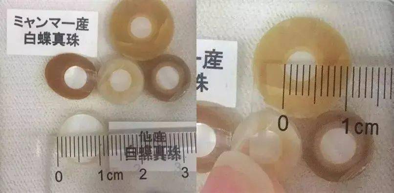 颜色|2020年秋冬这个颜色要火，显贵又优雅！