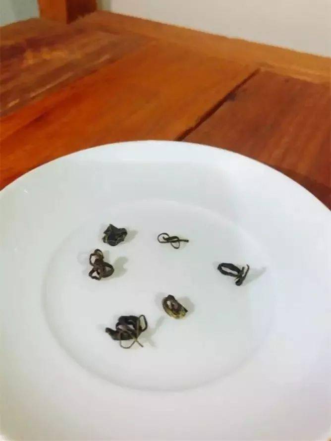 茶类|六大茶类最佳出汤时间！