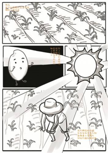 手绘漫画“一粒米”的故事_海报