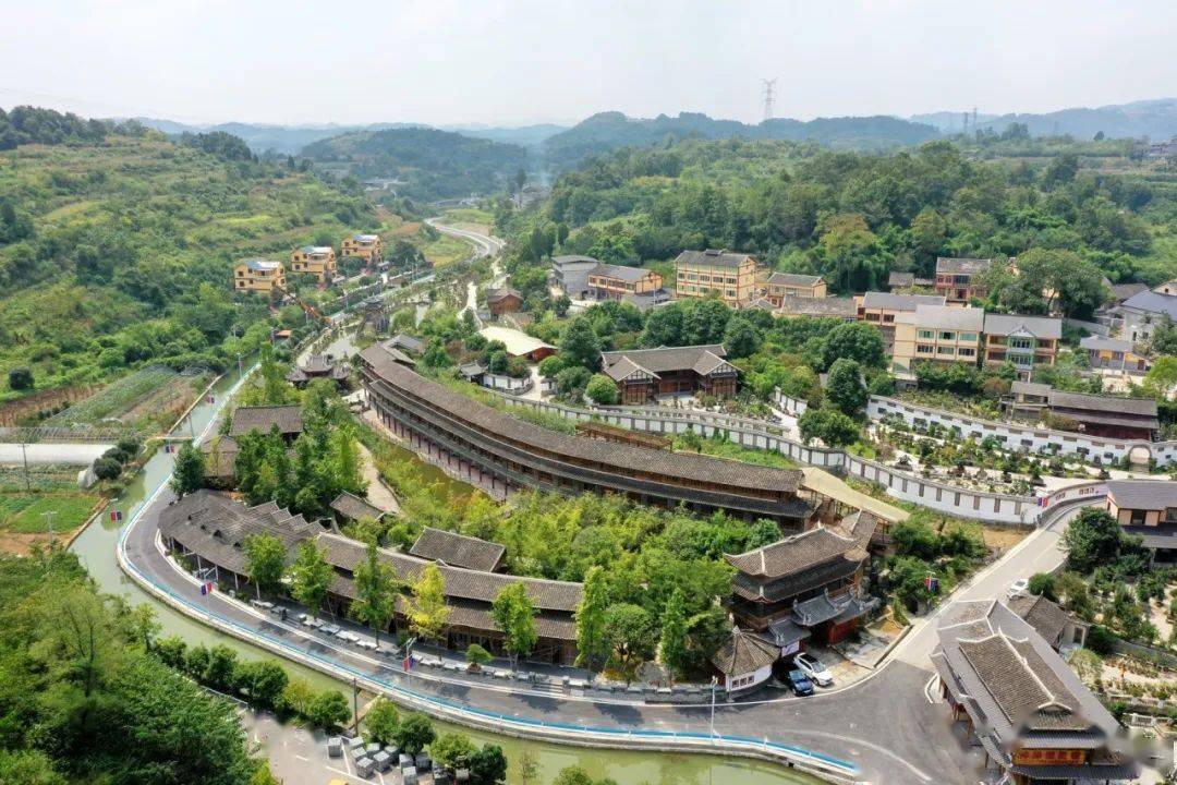 以盆景为载体的特色民宿遍布这里是盆景文化特色民宿"聚集地"以独特的