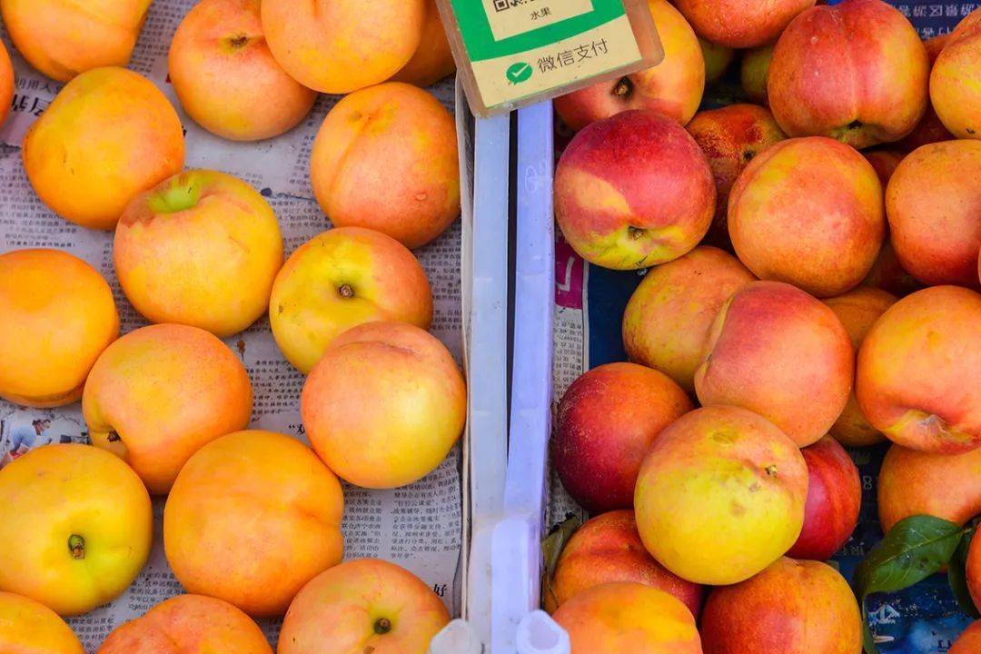 苹果最贵的是什么品种 b74415124c334bddb6389d249f276886.jpeg