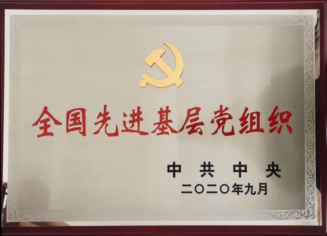 "全国抗击新冠肺炎疫情先进集体""全国先进基层党组织"两项集体荣誉