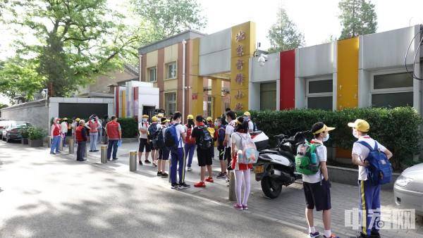 小学|幼儿园不得教授小学内容 拔苗助长式教育可以休矣