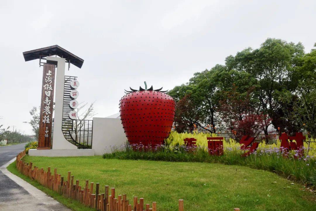 崇明|有一样自然赐予的好物超好吃~崇明这个农庄