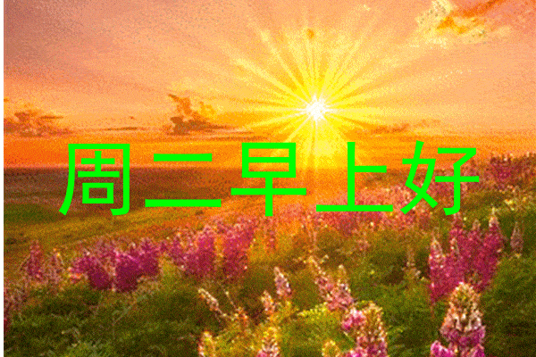 无忧无虑,无恐无惧,轻松愉快,就是人生的潇洒与幸福,早安