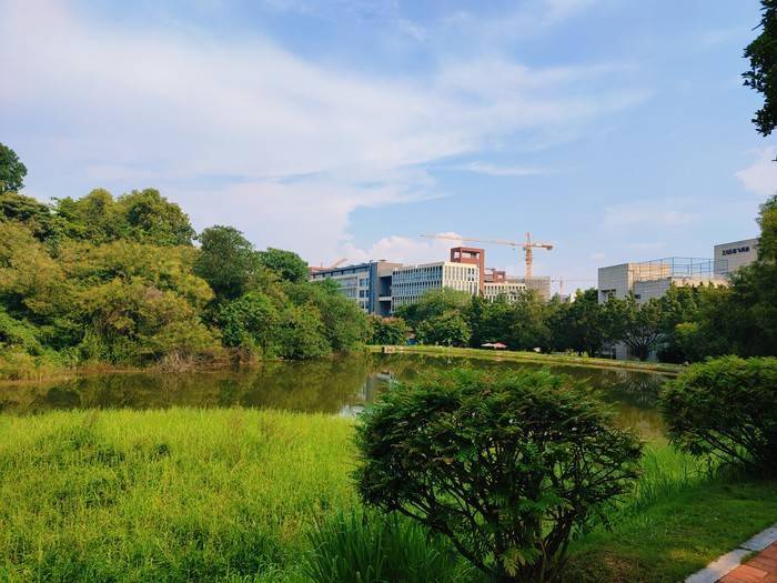 测评盘点|iQOO 5 Pro评测：手机里的赛车，出道直达巅峰！