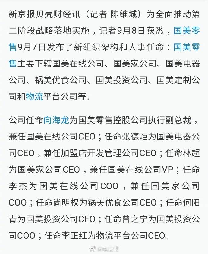 向海|向海龙被任命为国美零售执行副总裁