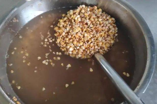 鲤鱼|我就喜欢用这鲤鱼钓法一到初秋