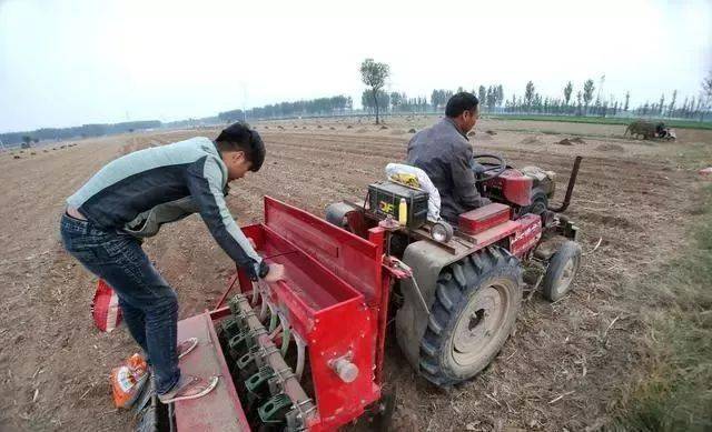 玉米秸秆还田的好处与坏处