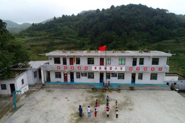 杨朝俊|杨朝俊：36载坚守大山育桃李